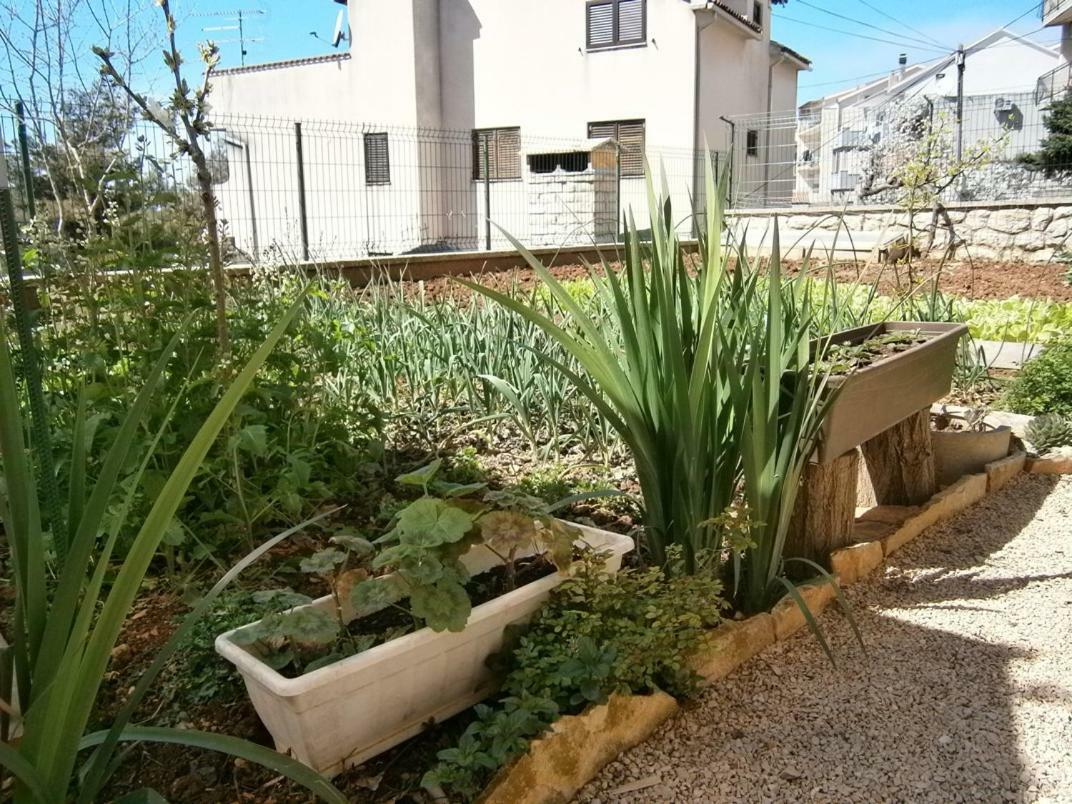 Apartman Šibenik Esterno foto